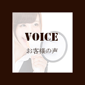 voice